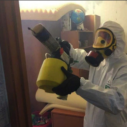 Уничтожение клопов в квартире. Восточное Измайлово 